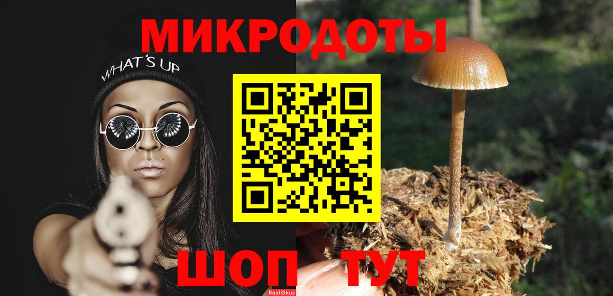 закладки  Псилоцибиновые грибы мухоморы  Вход с VPN  Богородск 